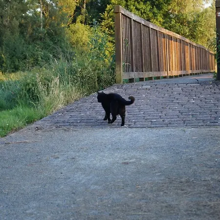 게스트하우스 Gasthuus Ulenhoff 3*