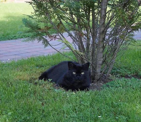 Gasthuus Ulenhoff 3* Westoverledingen