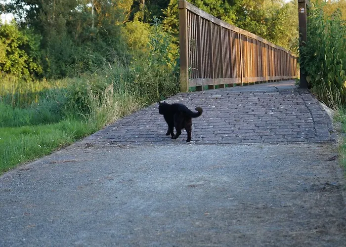 招待所 Gasthuus Ulenhoff 3*